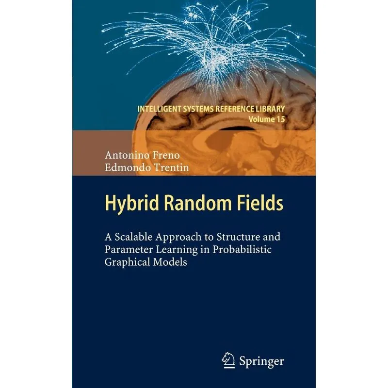 Hybrid Random Fields