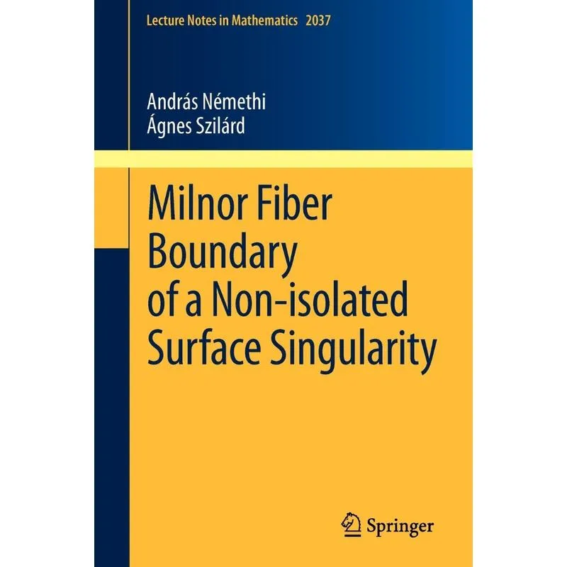 Milnor Fiber Boundary of a Non-isolated Surface Singularity