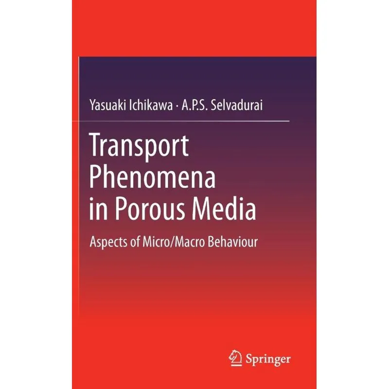Transport Phenomena in Porous Media