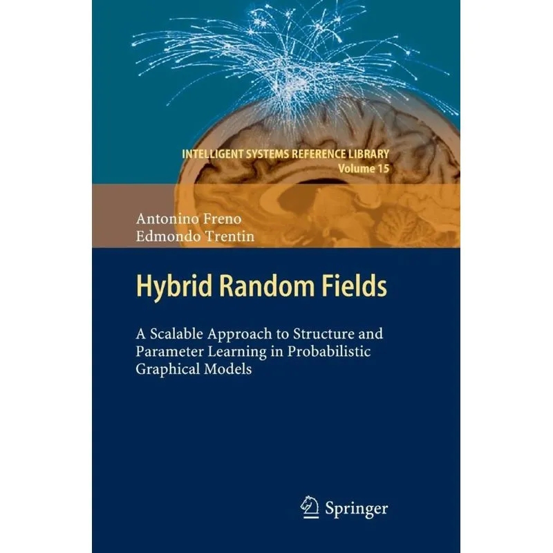 Hybrid Random Fields