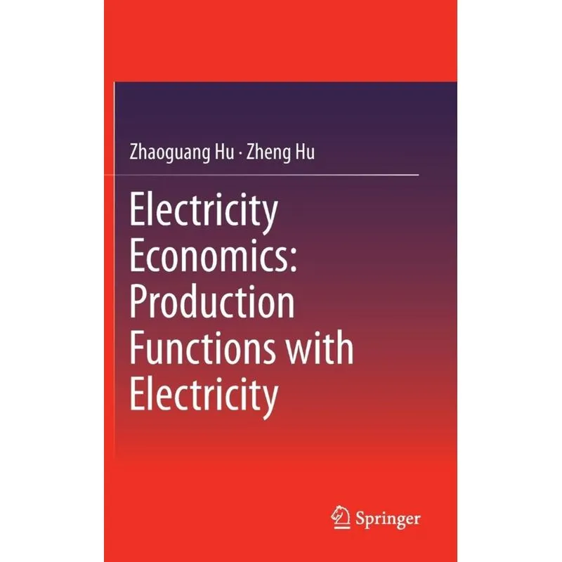Electricity Economics