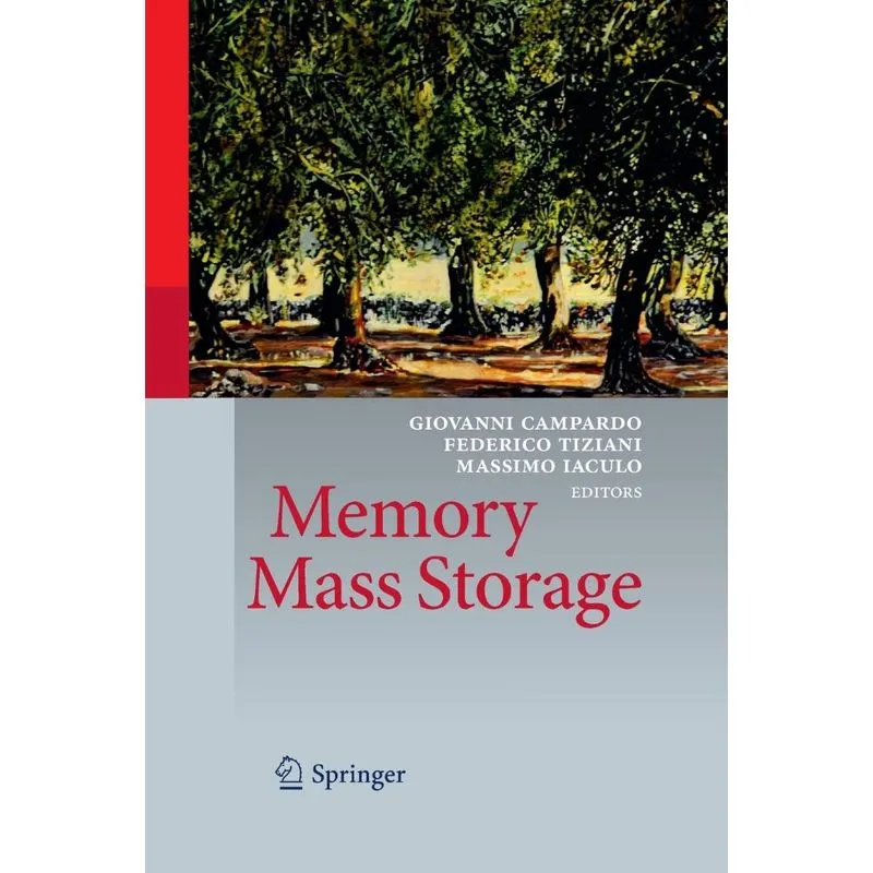 Memory Mass Storage