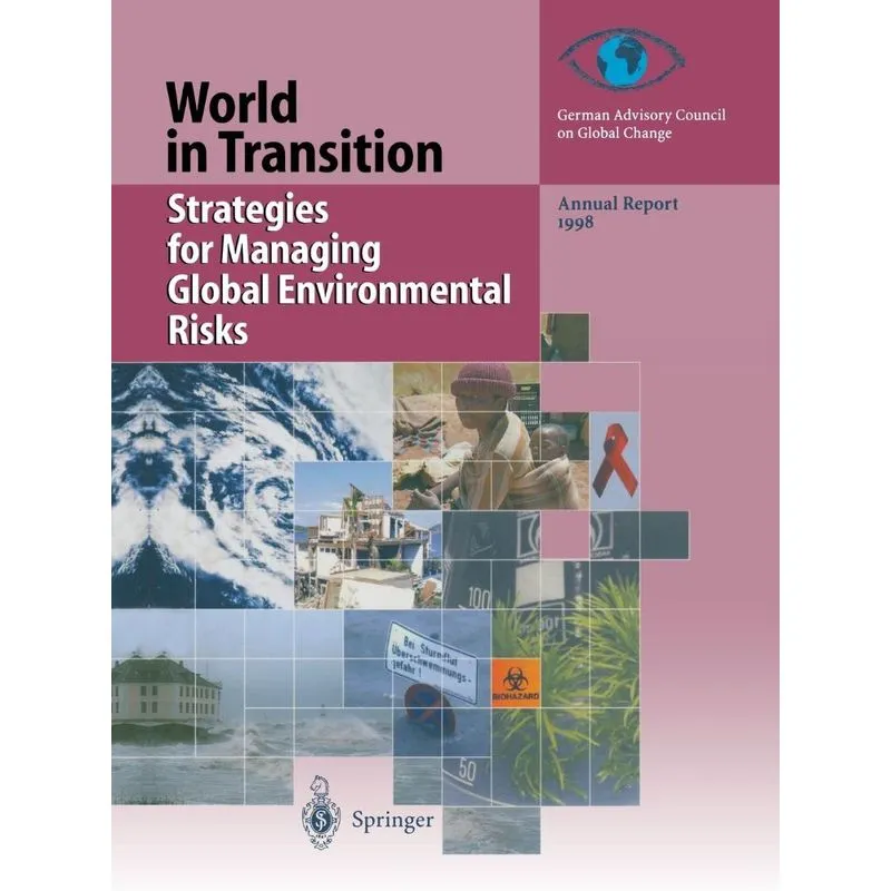 Strategies for Managing Global Environmental Risks