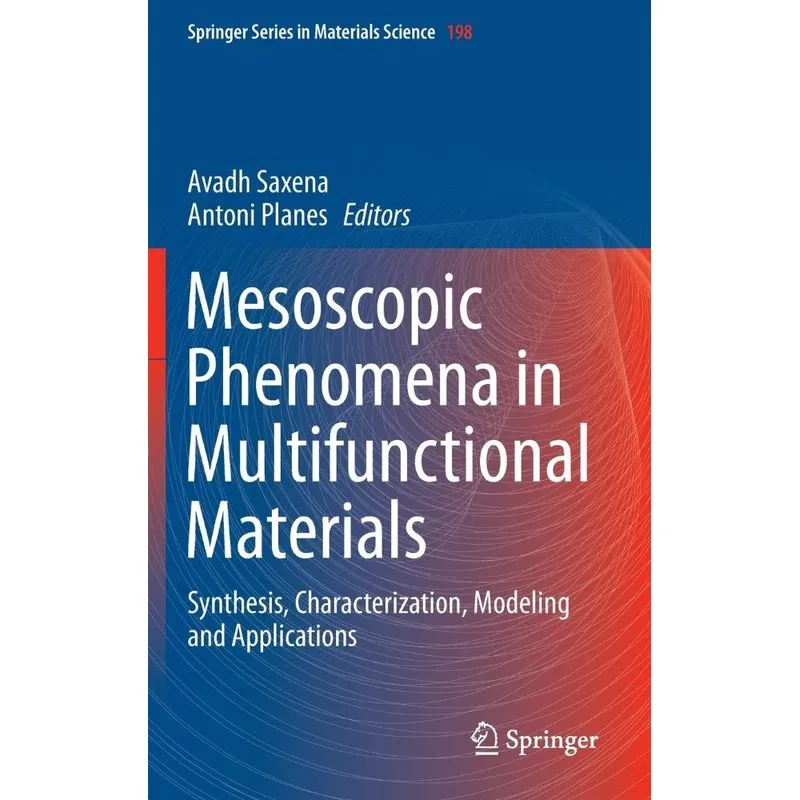 Mesoscopic Phenomena in Multifunctional Materials