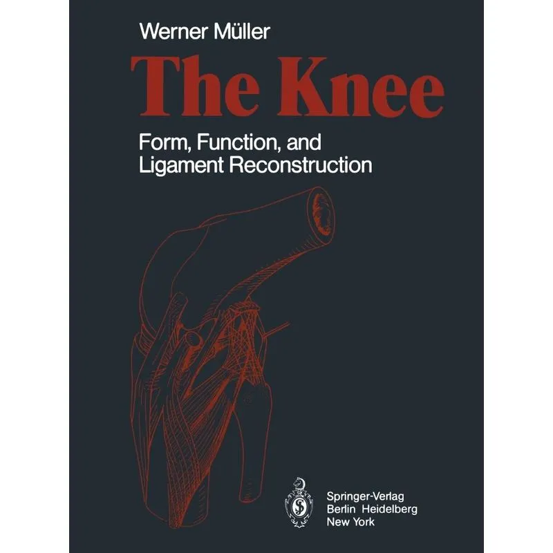 The Knee