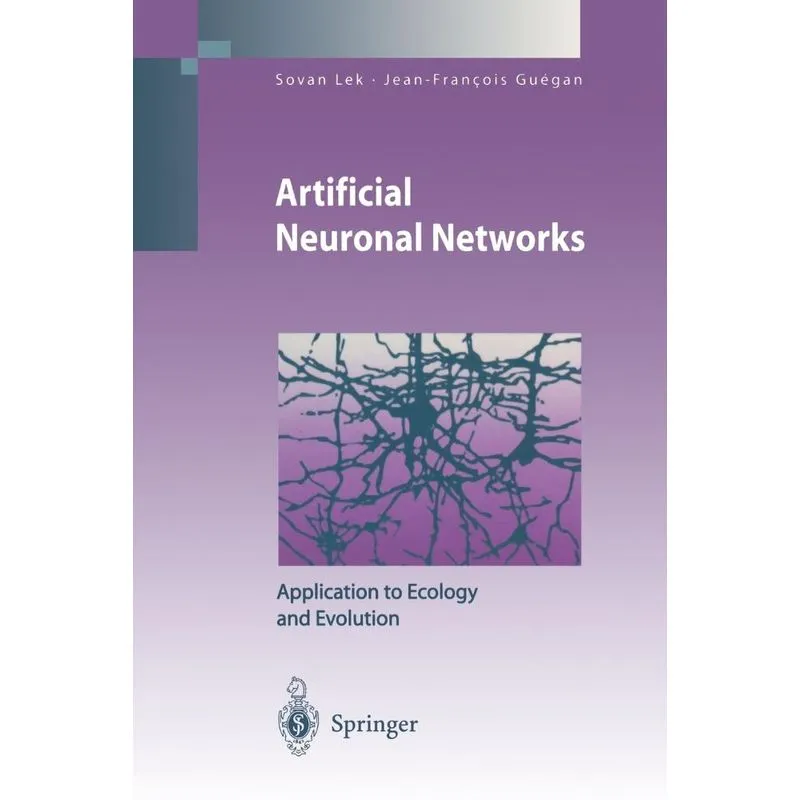 Artificial Neuronal Networks