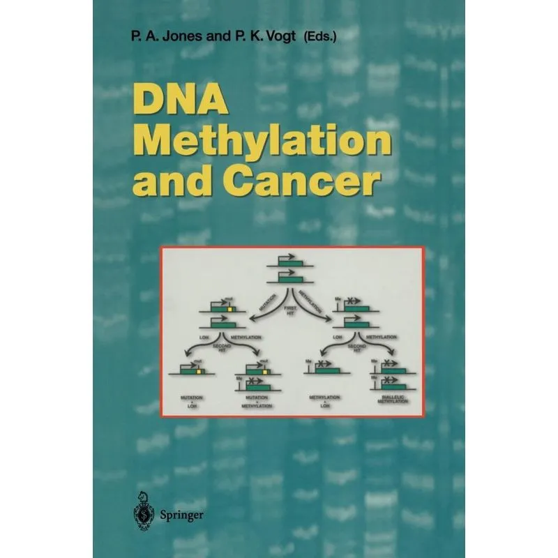 DNA Methylation and Cancer