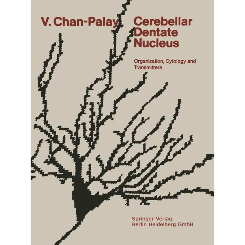 Cerebellar Dentate Nucleus