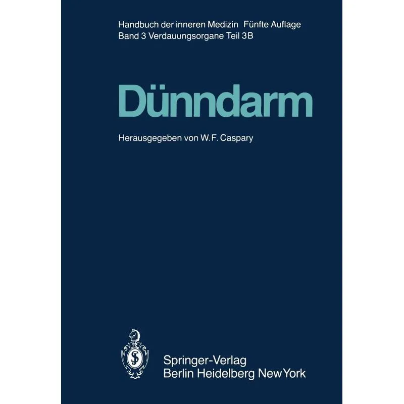Dünndarm B