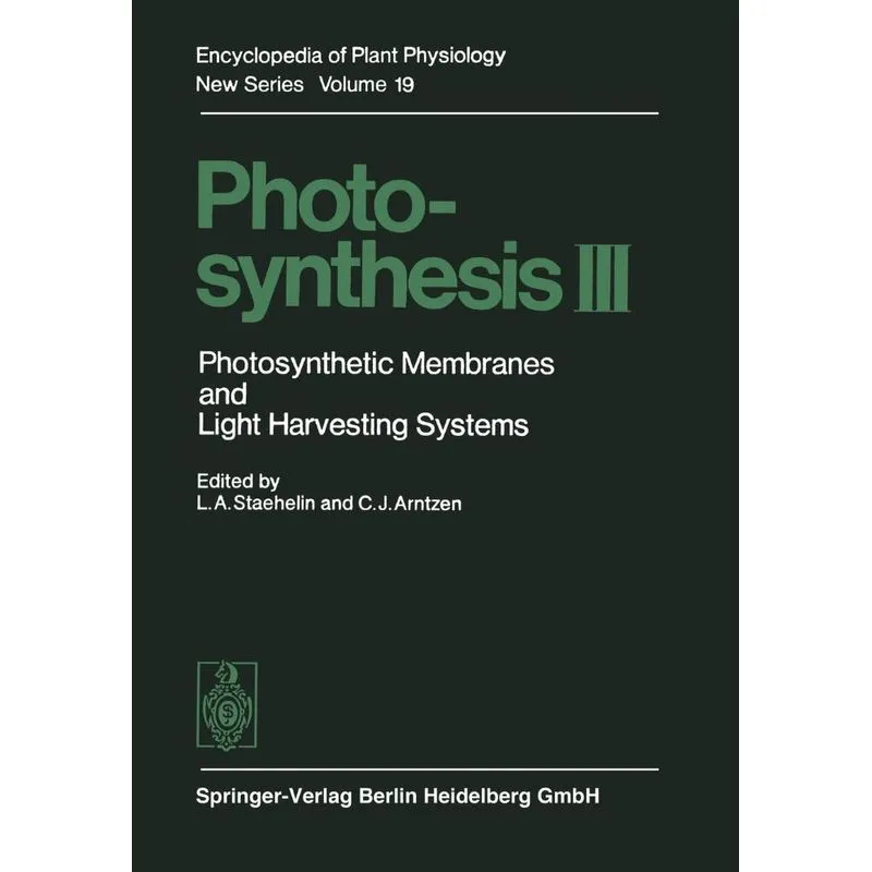 Photosynthesis III