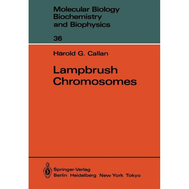 Lampbrush Chromosomes