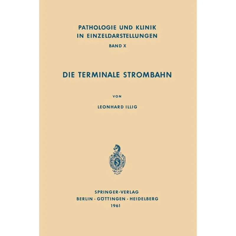 Die Terminale Strombahn