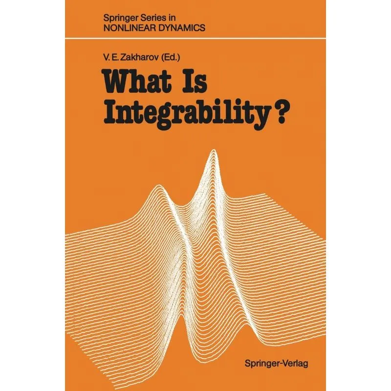 What Is Integrability?