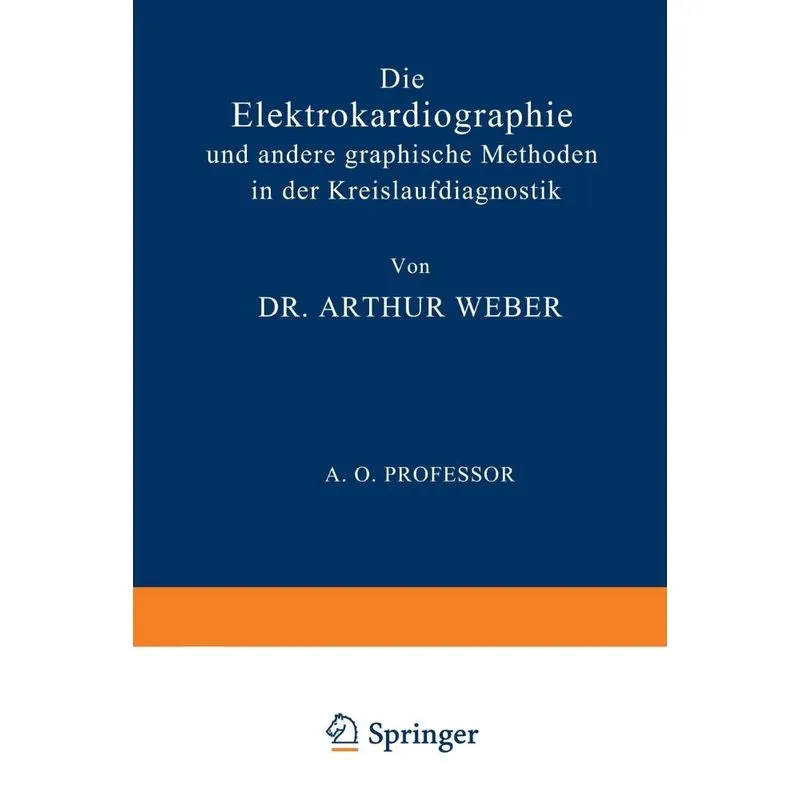 Die Elektrokardiographie und Andere Graphische Methoden in