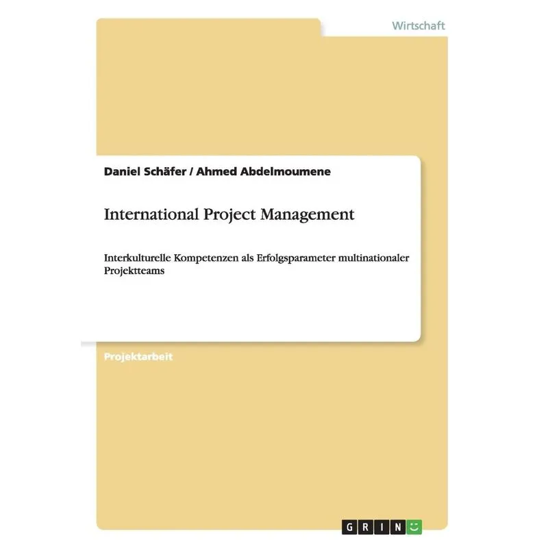 International Project Management
