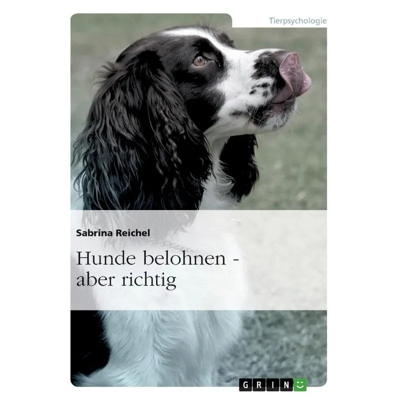 Hunde belohnen - aber richtig