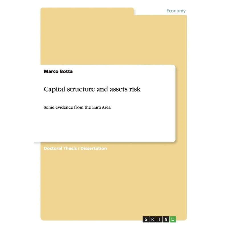 Capital structure and assets risk