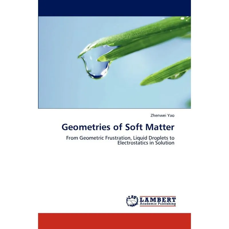 Geometries of Soft Matter