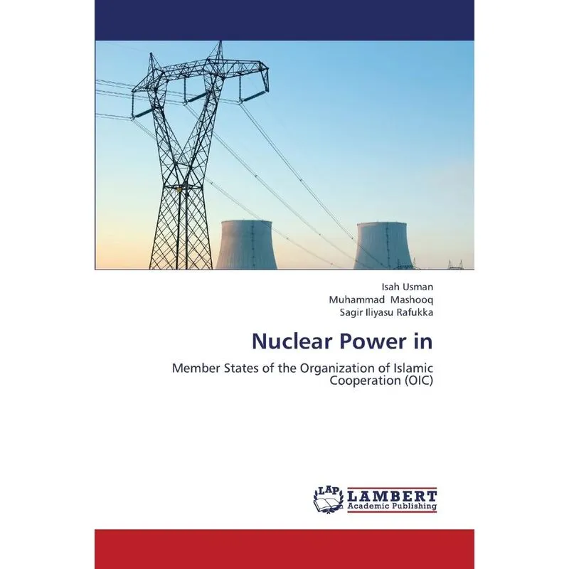 Nuclear Power In