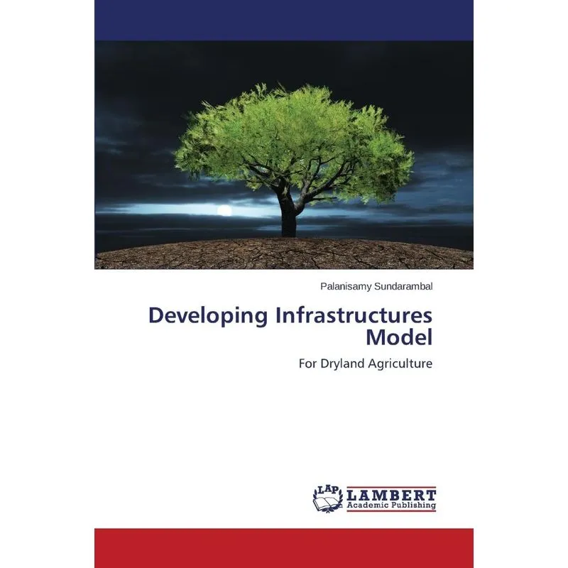 Developing Infrastructures Model