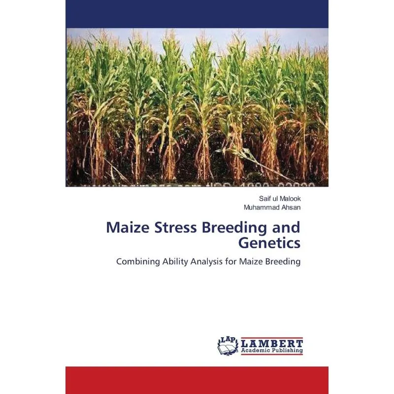 Maize Stress Breeding and Genetics