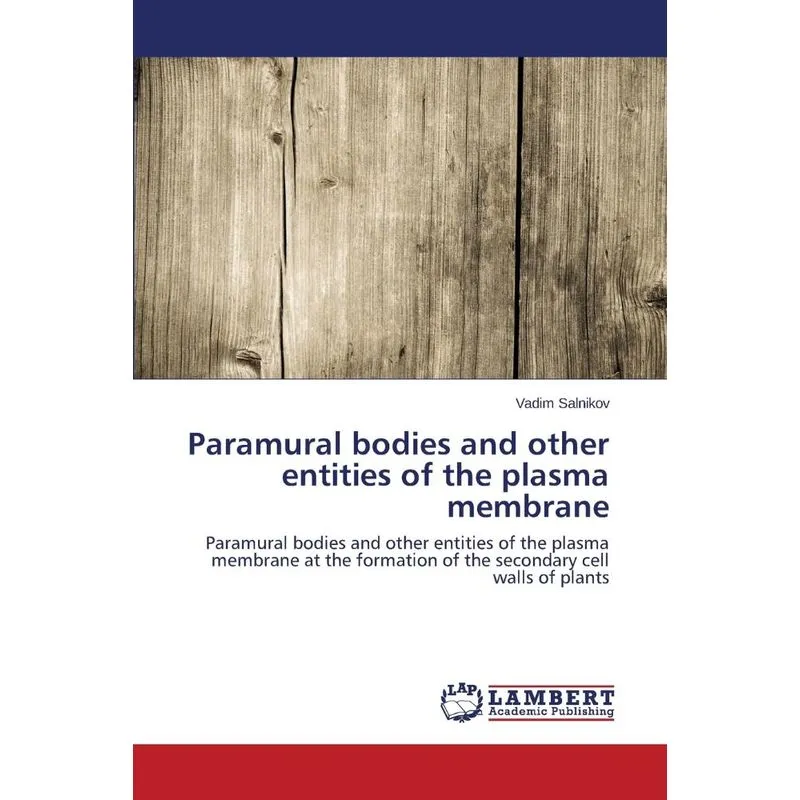 Paramural Bodies And Other Entities Of The Plasma Membrane