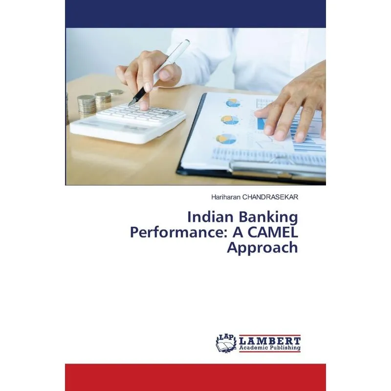 Indian Banking Performance