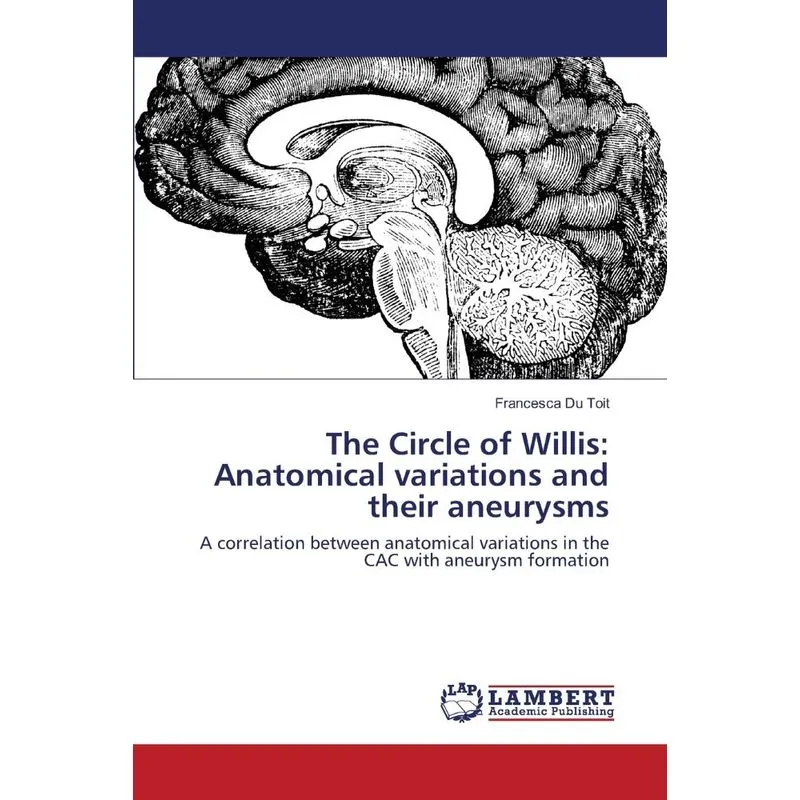 The Circle of Willis