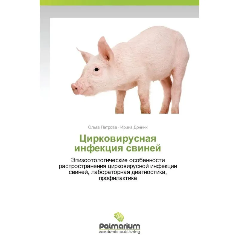 Tsirkovirusnaya Infektsiya Sviney