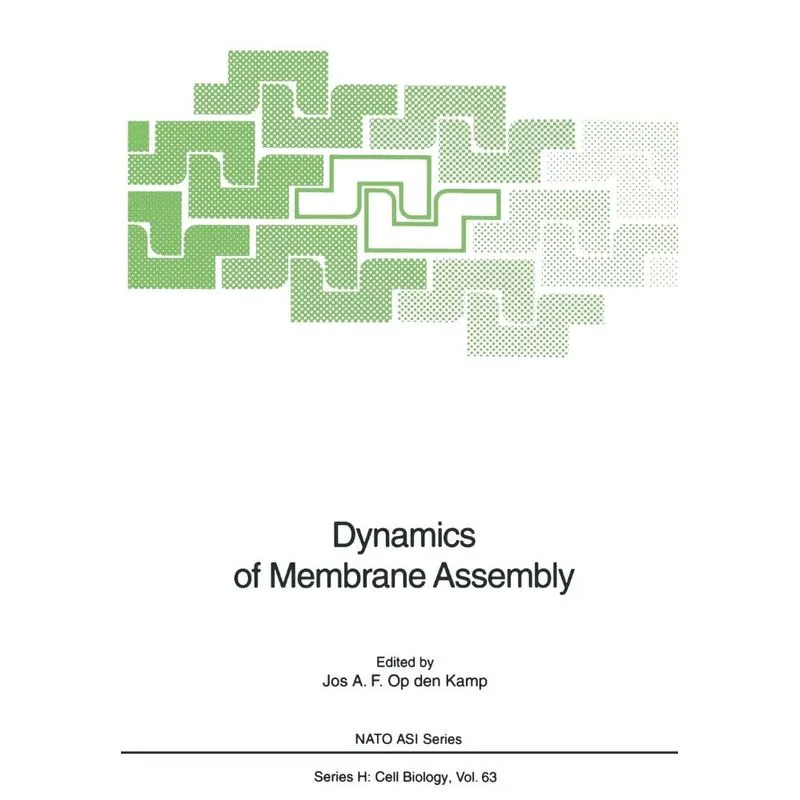 Dynamics of Membrane Assembly