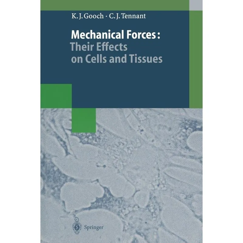 Mechanical Forces