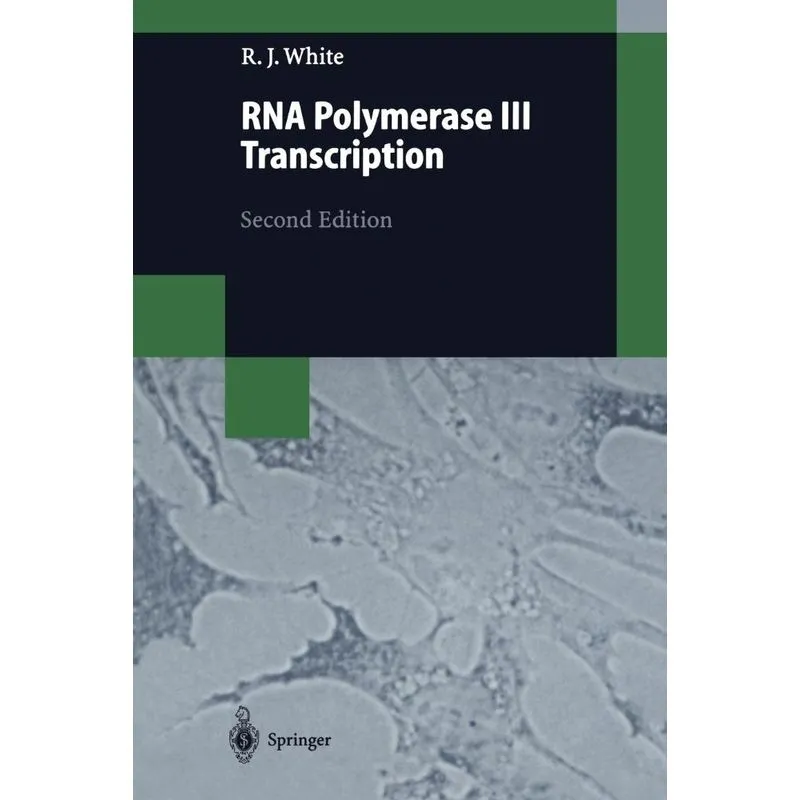 RNA Polymerase III Transcription