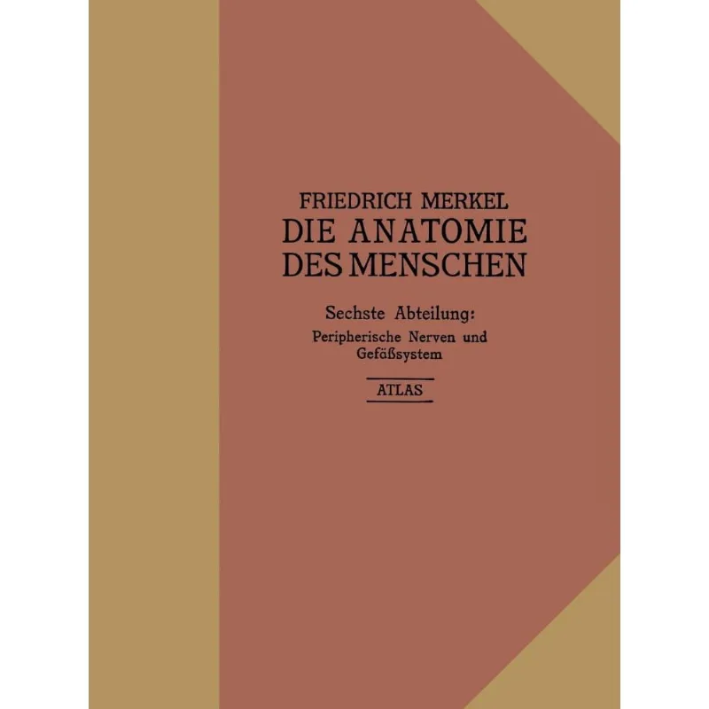 Atlas zu Peripherische Nerven und Gefsystem