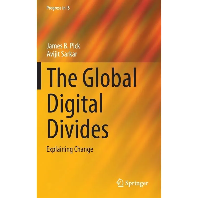 The Global Digital Divides