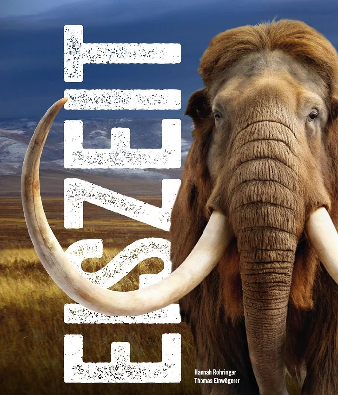 Eiszeit - Ice Age