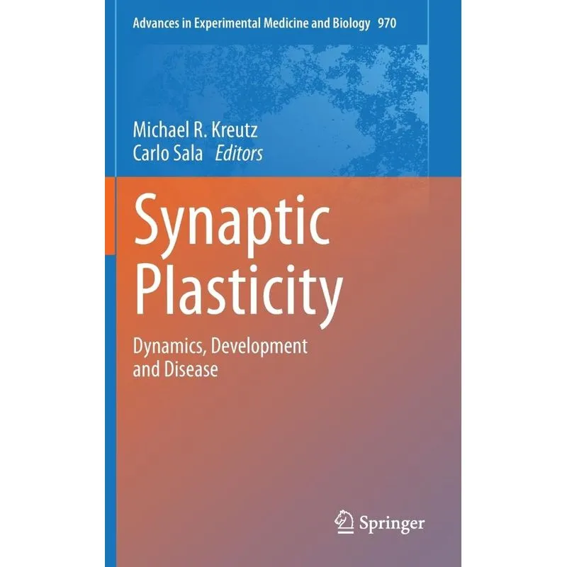 Synaptic Plasticity