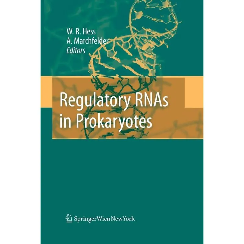 Regulatory RNAs in Prokaryotes