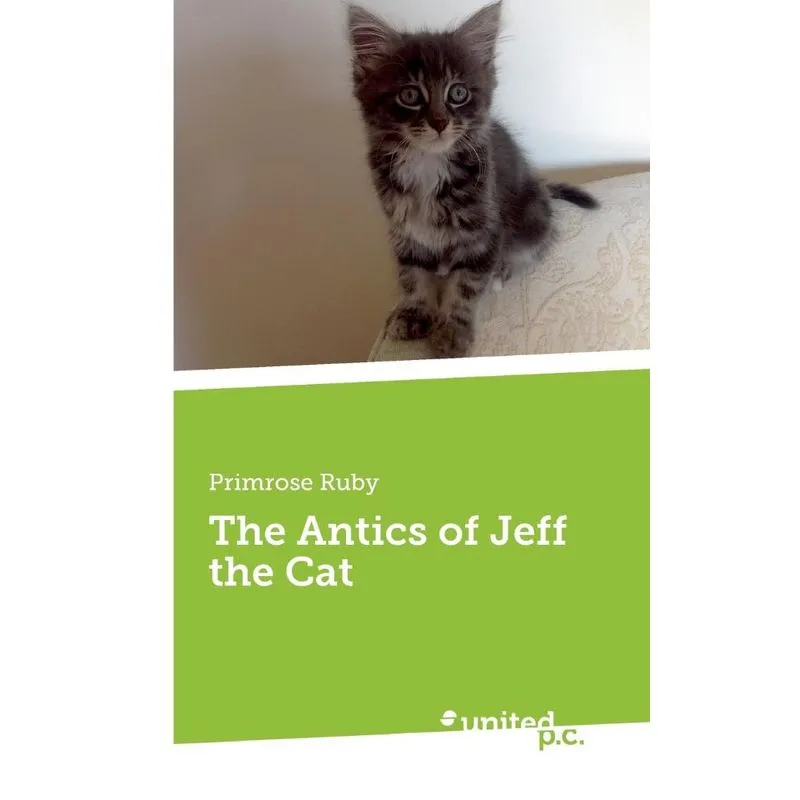 The Antics of Jeff the Cat