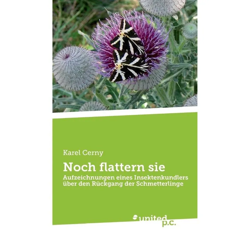 Noch flattern sie