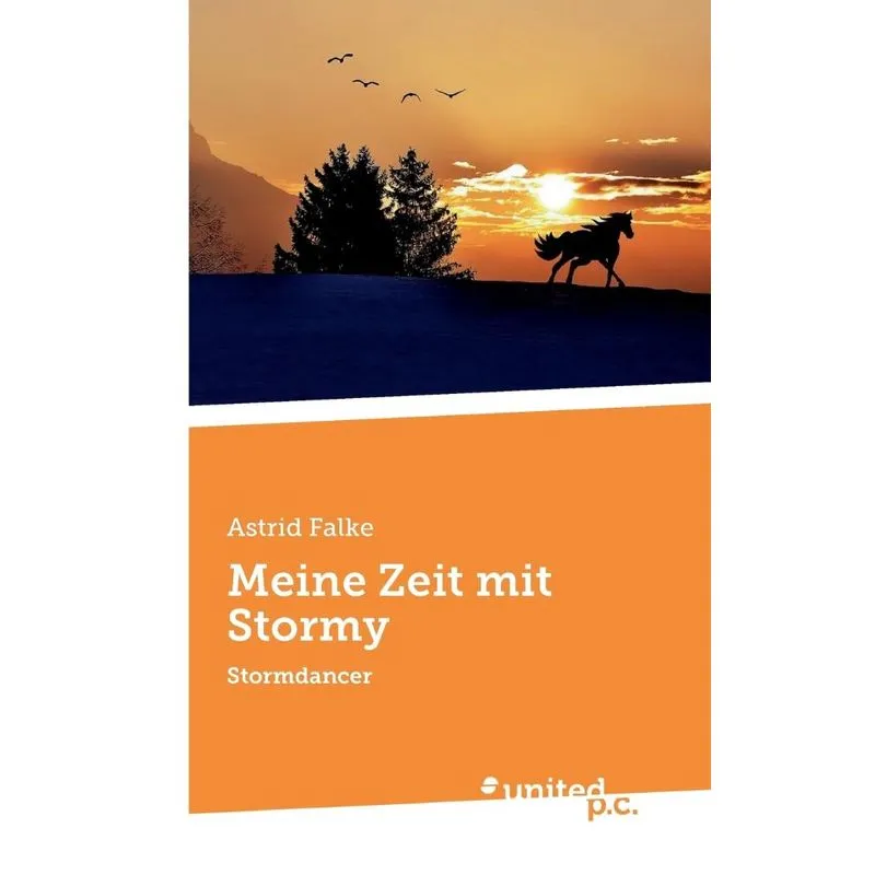 Meine Zeit mit Stormy
