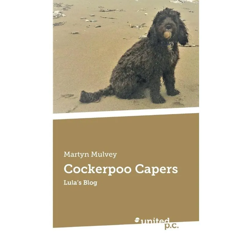 Cockerpoo Capers