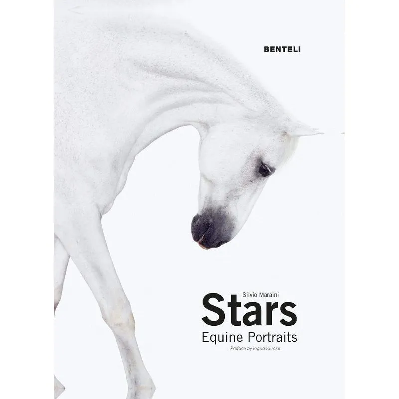 STARS - EQUINE PORTRAITS