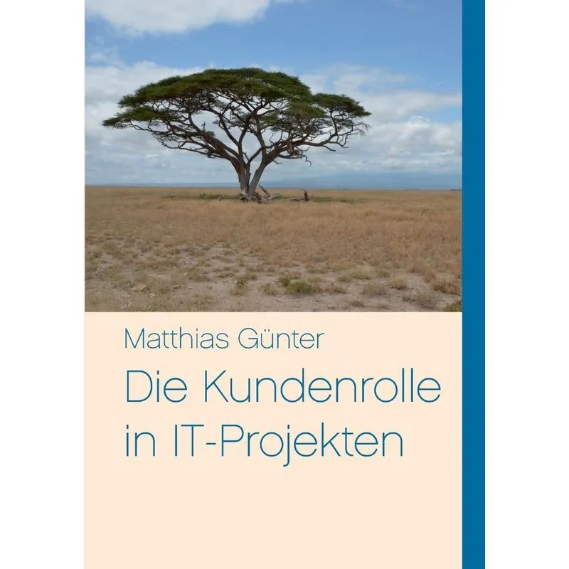 Die Kundenrolle in IT-Projekten