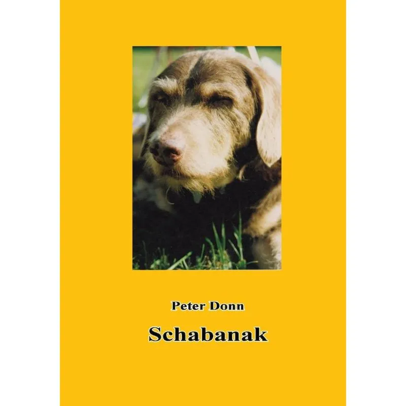 Schabanak