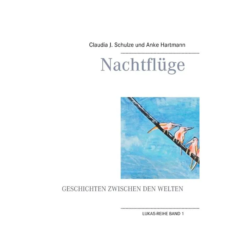 Nachtflüge