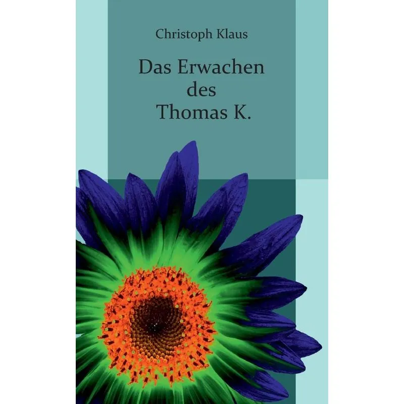 Das Erwachen des Thomas K.