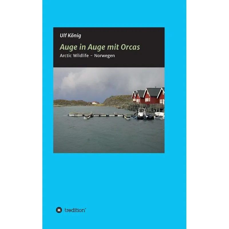 Auge in Auge mit Orcas