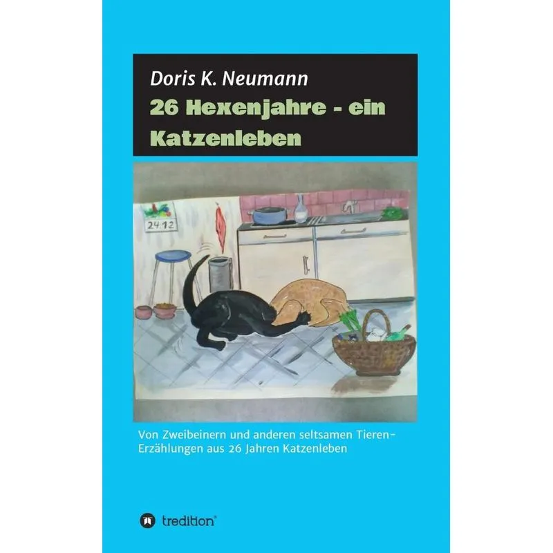 26 Hexenjahre - ein Katzenleben