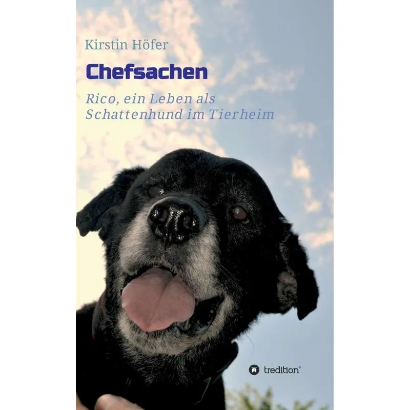Chefsachen
