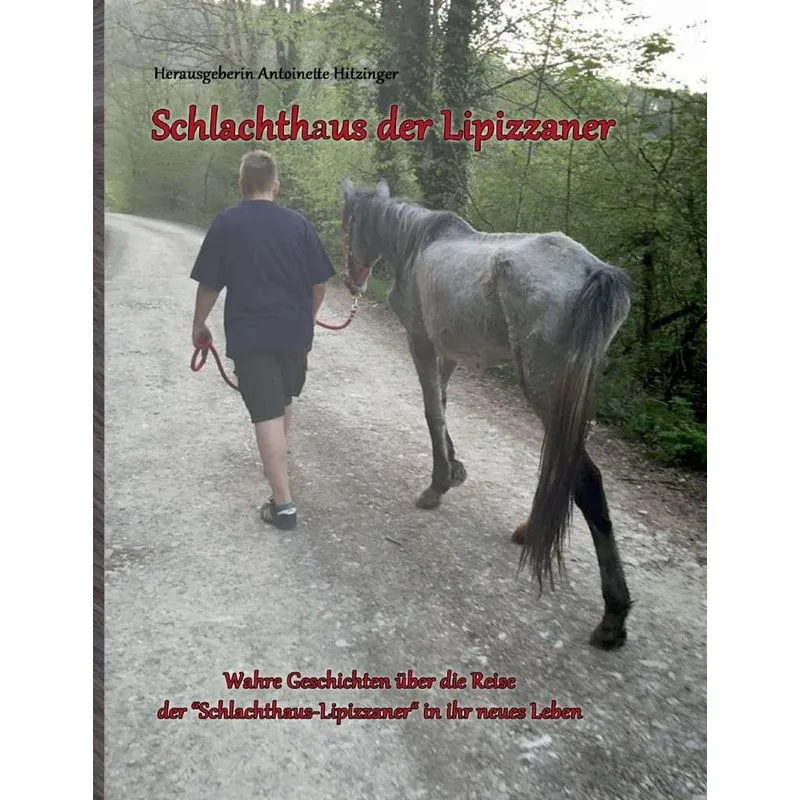 Schlachthaus der Lipizzaner